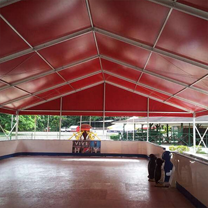 Rink